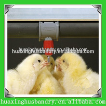 automatic good quality chicken feeders and drinkers